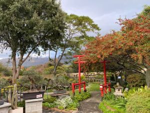 Bishopsford Bonsai Nursery