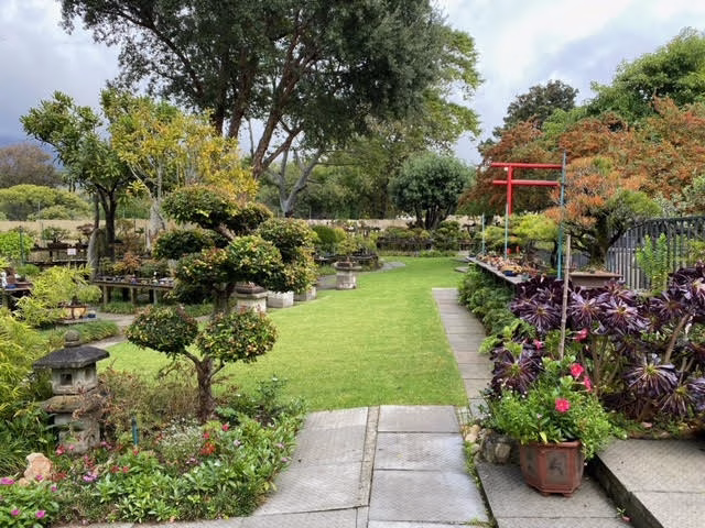 Bishopsford Bonsai Nursery