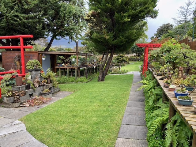 Bishopsford Bonsai Nursery