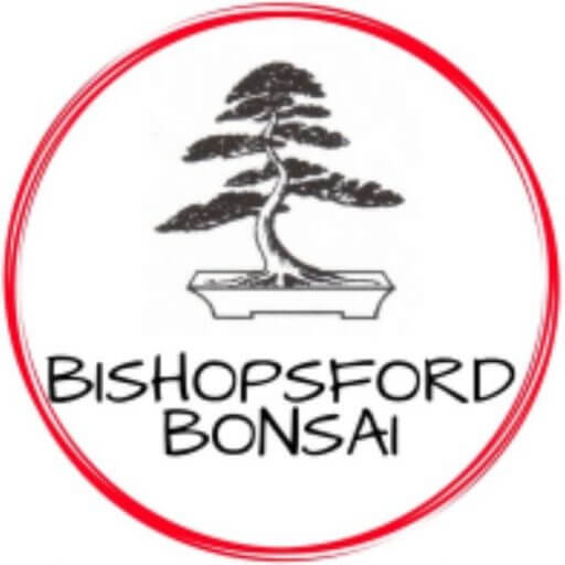 Bishopsford Bonsai logo