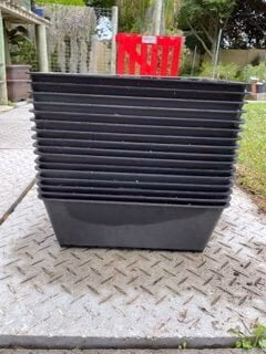Plastic growing tray