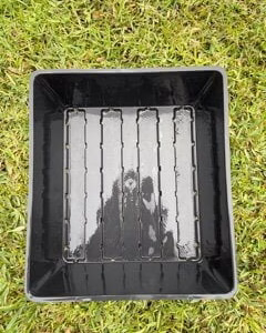 Plastic growing tray