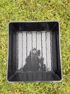 Plastic growing tray