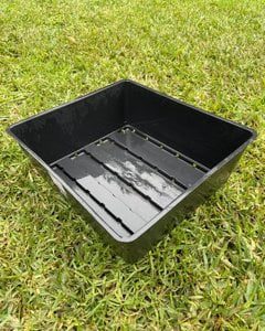 Plastic growing tray