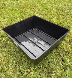 Plastic growing tray