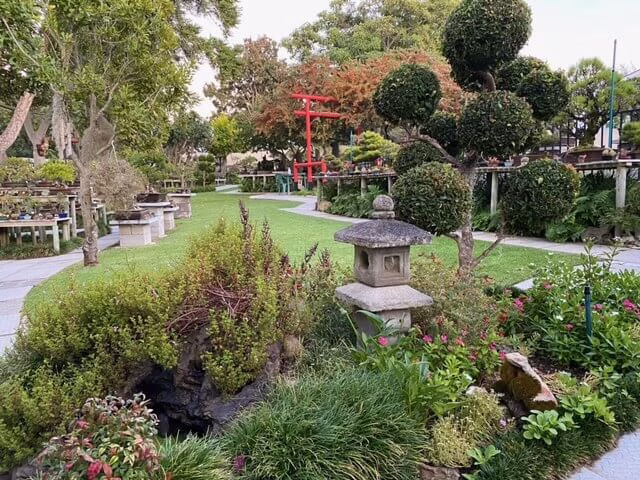 Bishopsford Bonsai Nursery