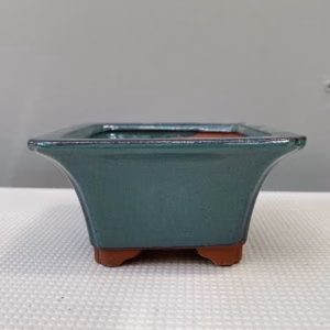 Ceramic bonsai pot