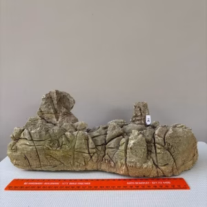 Decorative North African Rock
